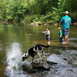 Meet your Posher, Rodney